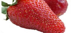 fruits-fraise
